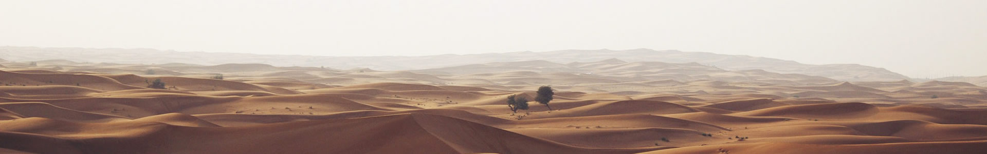 ݺʢ޹˾